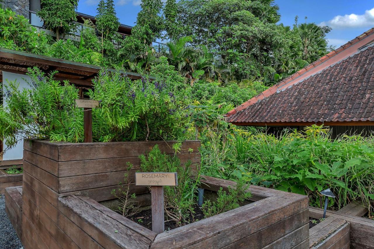 Bisma Eight Villas Ubud Dış mekan fotoğraf